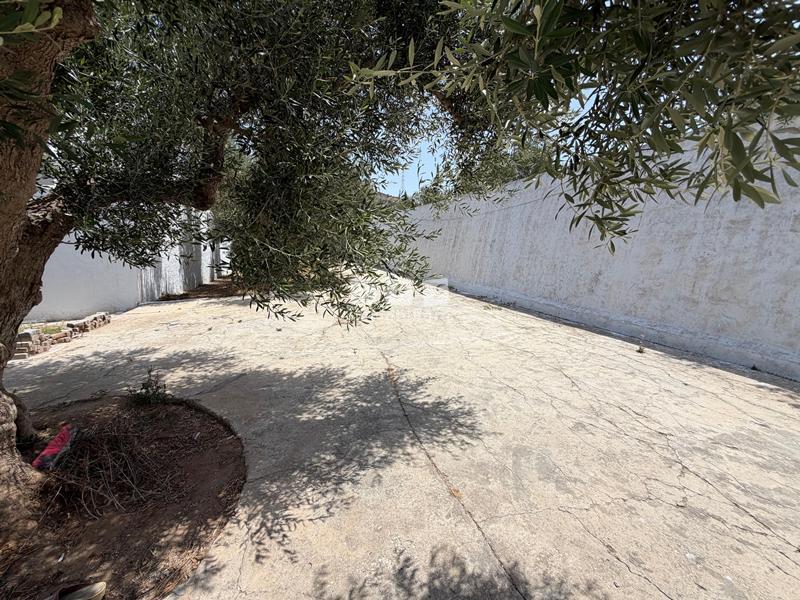 location appartement hammamet